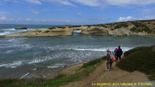 immagine 77 di 80